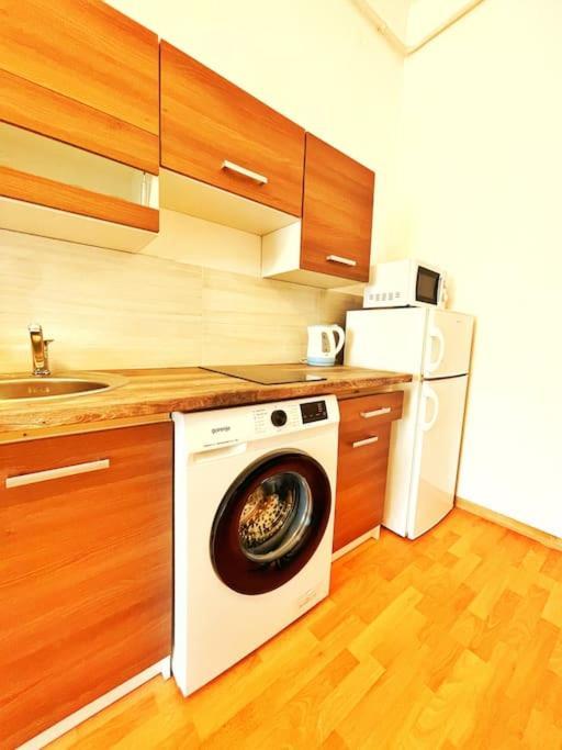 Central Spacious Flat บูดาเปสต์ ภายนอก รูปภาพ