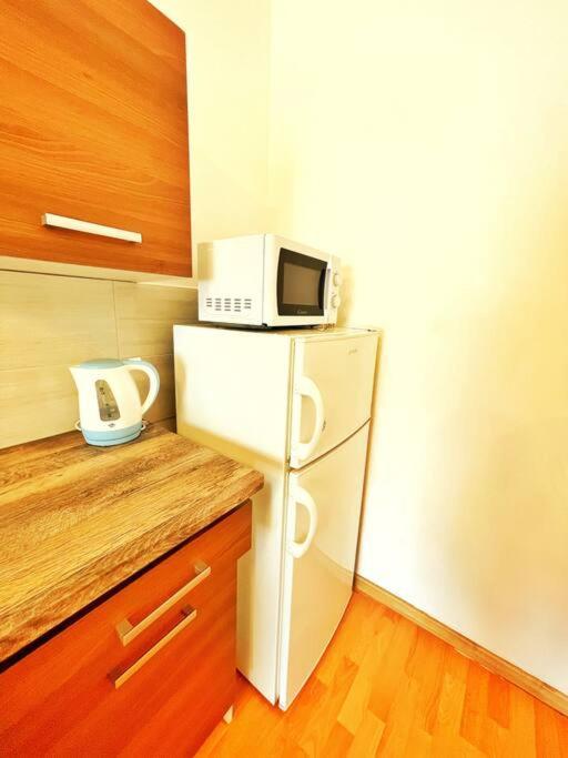 Central Spacious Flat บูดาเปสต์ ภายนอก รูปภาพ